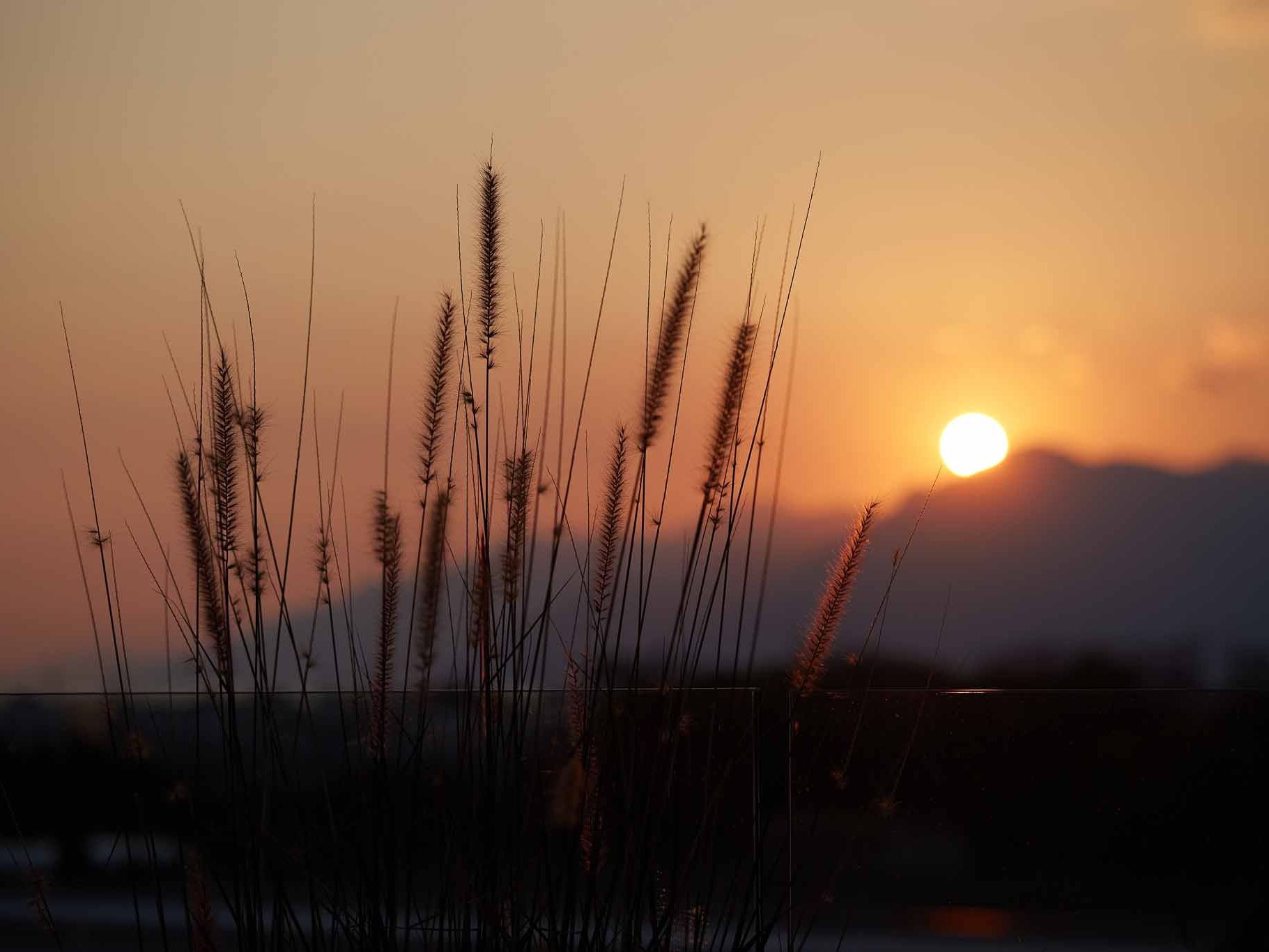 La Terrazza Mon Bistrot