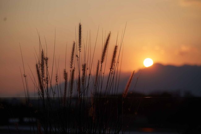 La Terrazza Mon Bistrot