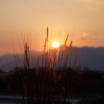 La Terrazza Mon Bistrot