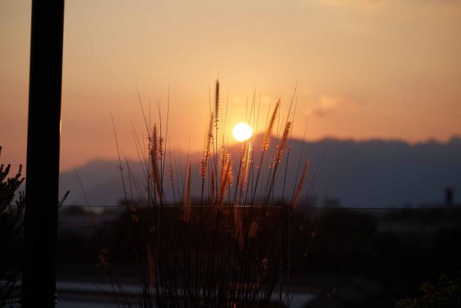 La Terrazza Mon Bistrot